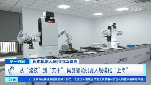 200元一天就能带个机器人回家，具身智能加速走进生活与工厂——广西软件开发的机遇与挑战